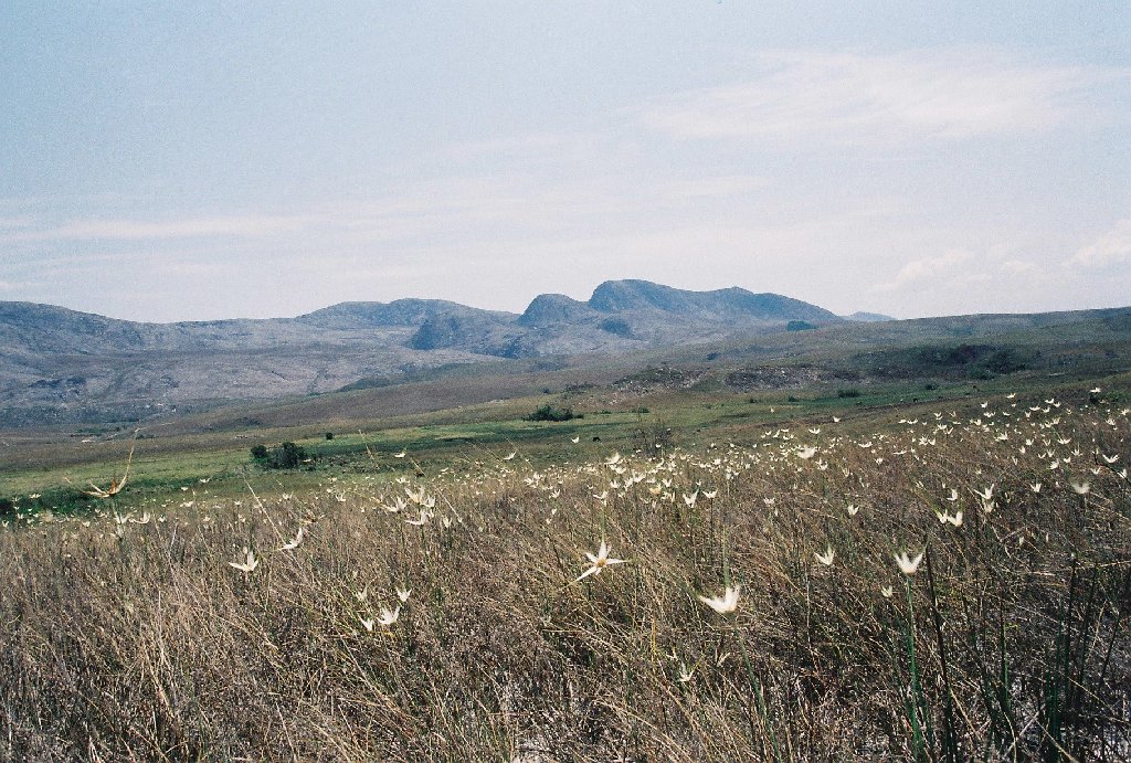 Centraldeeventosramatis