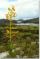 /album/galeria-de-fotos/lapinha-da-serra-jpg/