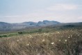 /album/galeria-de-fotos/a000001ao1-jpg1/